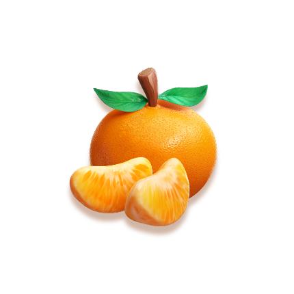 Fruta laranja